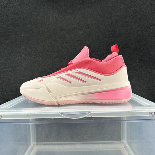 Polvo beige 40-46